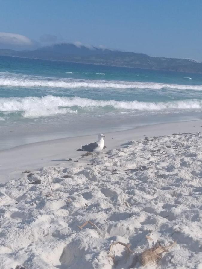 Apto Pé Na Areia - Wi-fi Gratuito - Tranquilidade à Beira Mar Apartamento *